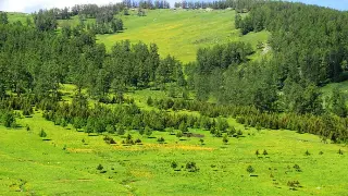 神途支线任务大揭秘：隐藏剧情与丰厚奖励等你来拿！